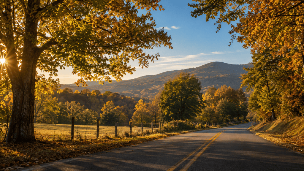 Fall in Bartow County, GA